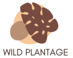 Wild Plantage – The Houseplants & Lifestyle Blog
